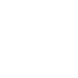 lc-logo-new8-transparent-white